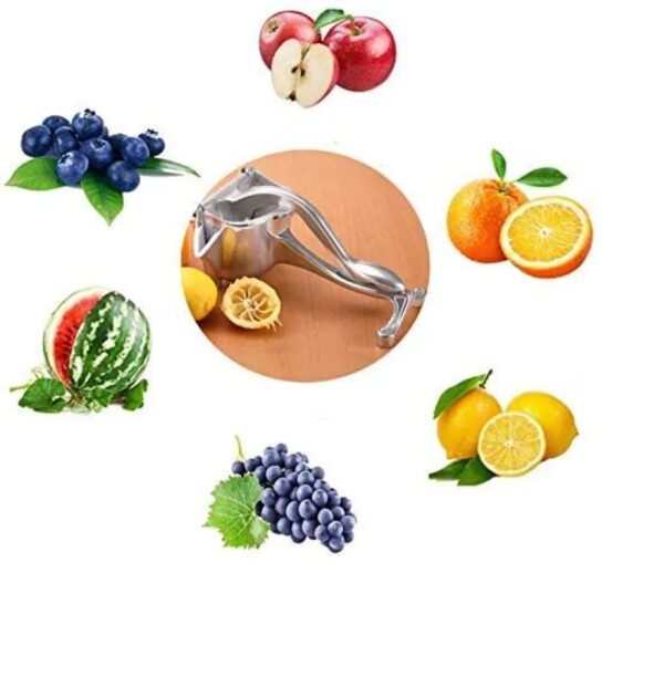 Heavy-Duty Alloy Fruit Press